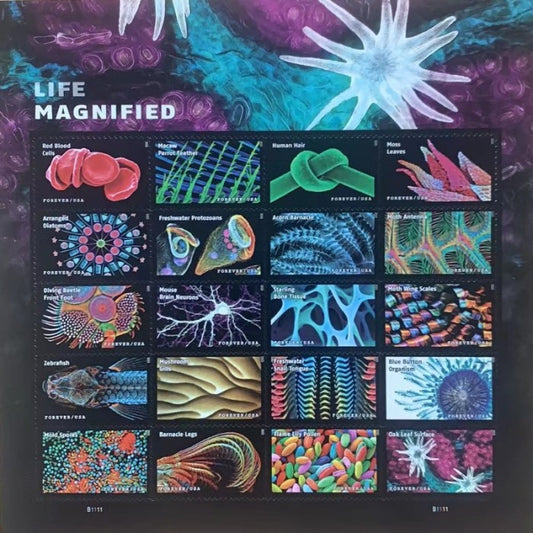 100x Life Magnified USPS Postage Forever Stamps